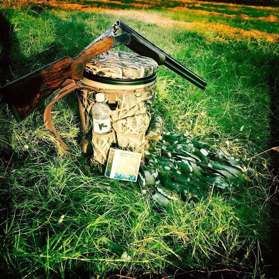 Just thinking about tomorrow&hellip; 🐦🐦